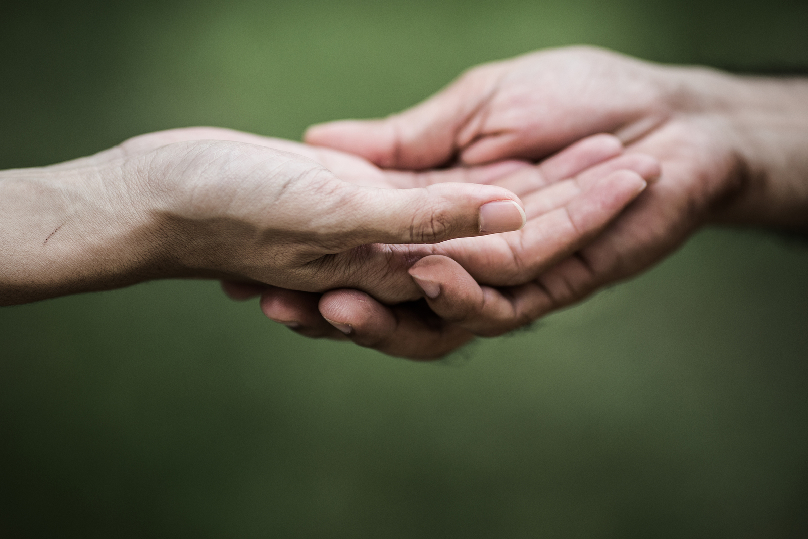 helping hands